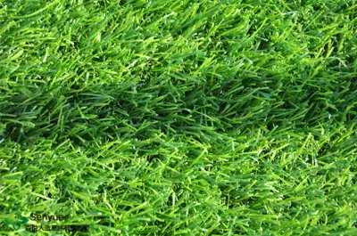 Senyue Artificial Turf 25mm Pile Height 220 Stitches Four Colors Synthetic Grass for Landscape, Leisure, Pet